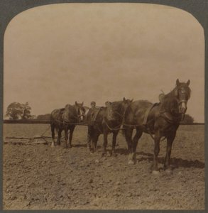 Farming in England - Harrowing the Land, 1909. af Unbekannt