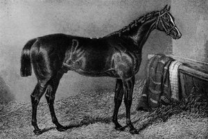 Søn af en hore, 1812-1835, 1911 af Unbekannt