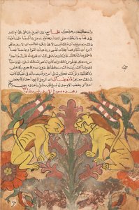 Folio fra en Kalila wa Dimna, 1700-tallet. af Unbekannt