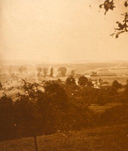 Skov i Argonne, Nordfrankrig, c1914-c1918 af Unbekannt