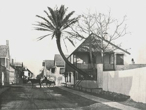 Francis Street, St. Augustine, USA, 1895. af Unbekannt