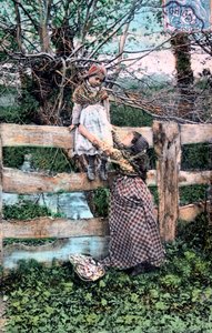 Fransk postkort, c1900 af Unbekannt
