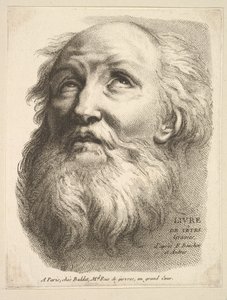 Frontispice: Head of a Bearded Man, fra Livre de Têtes Gravées dapres F. Bouch..., 1700-tallet. af Unbekannt