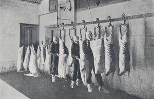 Frosset kød, 1923. af Unbekannt