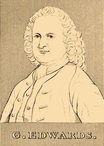 G. Edwards, 1694-1773, 1830. af Unbekannt