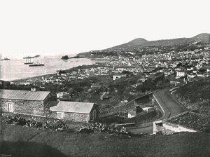Generelt billede af Funchal, Madeira, Portugal, 1895. af Unbekannt