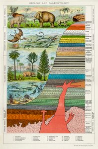 Geologi og palæontologi, c1880 af Unbekannt