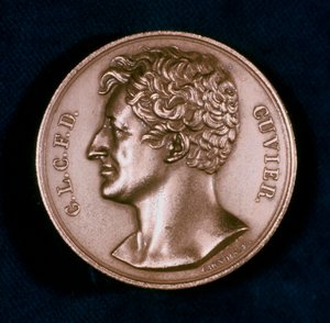 Georges Leopold Chretien Frederic Dagobert, Baron Cuvier, fransk anatom, 1800-tallet af Unbekannt