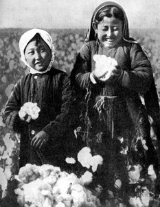 Piger i en bomuldsmark, Kasakhstan, 1936 af Unbekannt