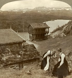 Sladder på en kro ved siden af Botten, med udsigt over Voxli-søen - udsigt mod Haukeli Mts., Norge, af Unbekannt