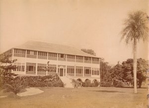 Government House, nær Kingston, Jamaica fra det 20. århundrede. af Unbekannt