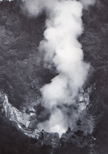 Great Wairakei Geyser, slutningen af det 19.-begyndelsen af det 20. århundrede. af Unbekannt