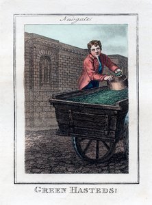 Green Hasteds, Newgate, London, 1805 af Unbekannt