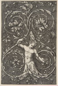 Grotesk med mandsfigur med underkrop og hoved af akantusruller, ca. 1515-1600. af Unbekannt