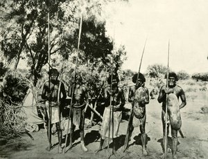 Group of Aboriginal Men, Queensland, Australien, 1901. af Unbekannt