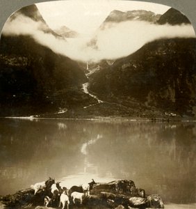 Grytereids-gletsjeren glitrer over drivende skyer på tværs af den rolige Olden-sø, Norge, c1905. af Unbekannt