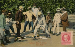 Havana: Rina de Gallos. Hanekamp, ​​1918 af Unbekannt