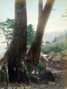 Hata ved Hakone Road, Japan, begyndelsen af det 20. århundrede af Unbekannt