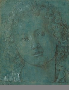 Head of a Boy, anden halvdel af det 16. århundrede. af Unbekannt