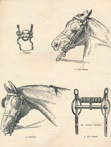 Hestebid, gode og dårlige, c1909 c1910 af Unbekannt