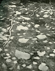 Hvordan vejret hindrede fremskridtet, 1919. af Unbekannt