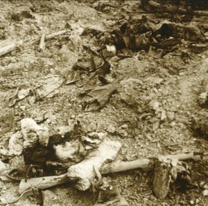 Menneskelige rester, Verdun, Nordfrankrig, c1914-c1918 af Unbekannt