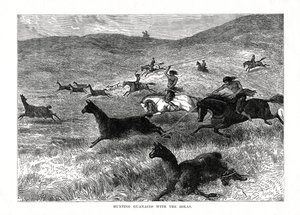 Jagt Guanacos med Bolas, Sydamerika, 1877 af Unbekannt