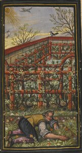Illustration til Det evige livs vidunderlige sommertid af Jacob Zader, 1603 af Unbekannt
