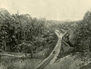 I Blackall Ranges, 1901. af Unbekannt