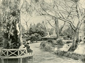 I den botaniske have, Adelaide, 1901. af Unbekannt