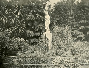I Fitzroy Gardens, Melbourne, 1901. af Unbekannt
