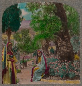 I Getsemane Have, omkring 1900 af Unbekannt