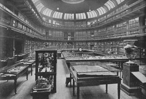Interiør af Geologisk Museum, Jermyn Street, 1904 af Unbekannt
