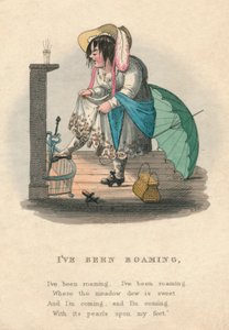 Jeg har været på roaming, 1828. af Unbekannt