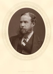 John Lubbock, første baron Avebury, engelsk bankmand, arkæolog, naturforsker og politiker, c1880 af Unbekannt