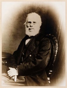 John Stringfellow, engelsk pionerflyver, ca. 1880 af Unbekannt