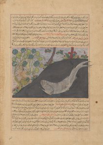Jonah and the Whale, Folio fra et Majma