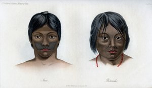 Juri og Botocudos, af Brasilio-Guarani nationen, 1848 af Unbekannt