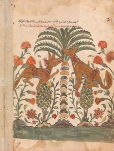 Kalila Upraiding Dimna, Folio fra en Kalila wa Dimna, 1700-tallet. af Unbekannt