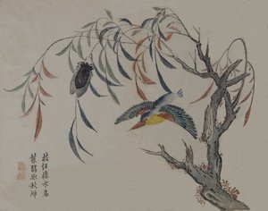 Kingfisher, Cicada og Piletræ, 1800-tallet. af Unbekannt