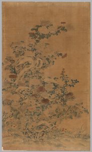 Ko Ssu Panel: Sten og krysantemum, 1700-1800-tallet. af Unbekannt
