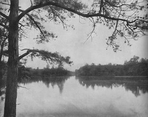 Lake of the Isles, Thousand Islands, c1897. af Unbekannt