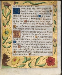 Blad fra en Psalter and Prayerbook: Ornamental Border with Flowers and Egern verso, ca. 1524. af Unbekannt