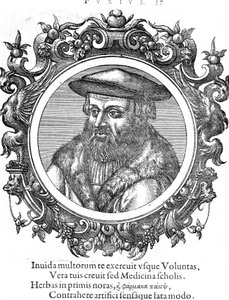 Leonhard Fuchs, tysk botaniker og læge af Unbekannt