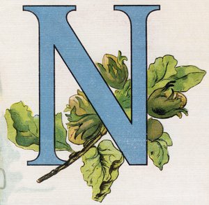 Bogstav N: hasselnødder. Indgravering i "ABC L