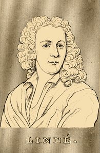 Linne, 1707-1778, 1830. af Unbekannt