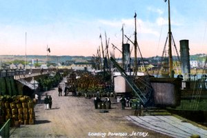 Indlæser kartofler, Jersey, 1908 af Unbekannt