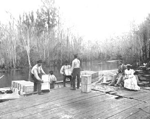 Indlæser appelsiner på Ocklawaha-floden, Florida, USA, c1900. af Unbekannt