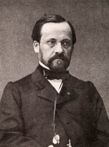 Louis Pasteur, fransk mikrobiolog og kemiker, 1800-tallet af Unbekannt