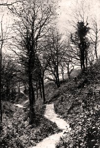 Lovers Lane, Fairlight, Hastings, Sussex af Unbekannt